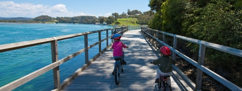 Narooma walks | Mill Bay Boardwalk