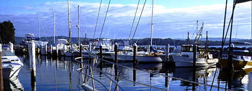 boats at the marina Batemans Bay Clyde River 