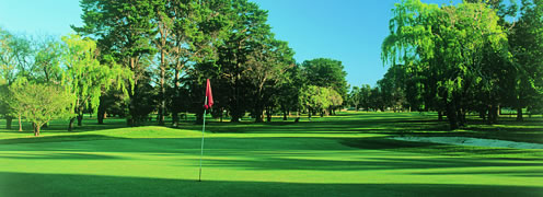 Catalina Country Club fairway championship golf course