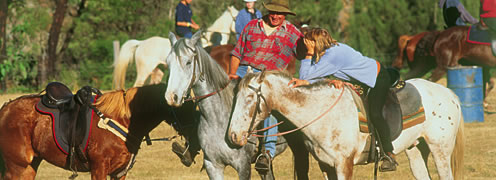 horse riders group close to bush trails