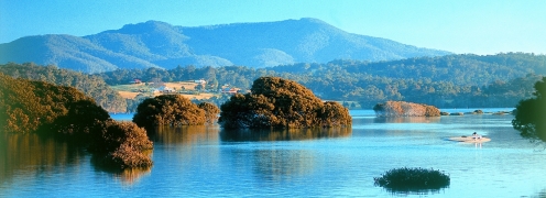 Narooma is a mecca for fishing enthusiasts and home to a fleet of modern charter boats.